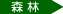 アイコン:森林